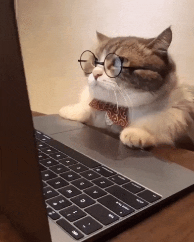 Cute cat with glasses and tie reading laptop.gif