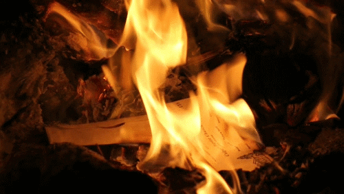 Book burning.gif