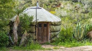 Yurt in a jungle looking place.jpg